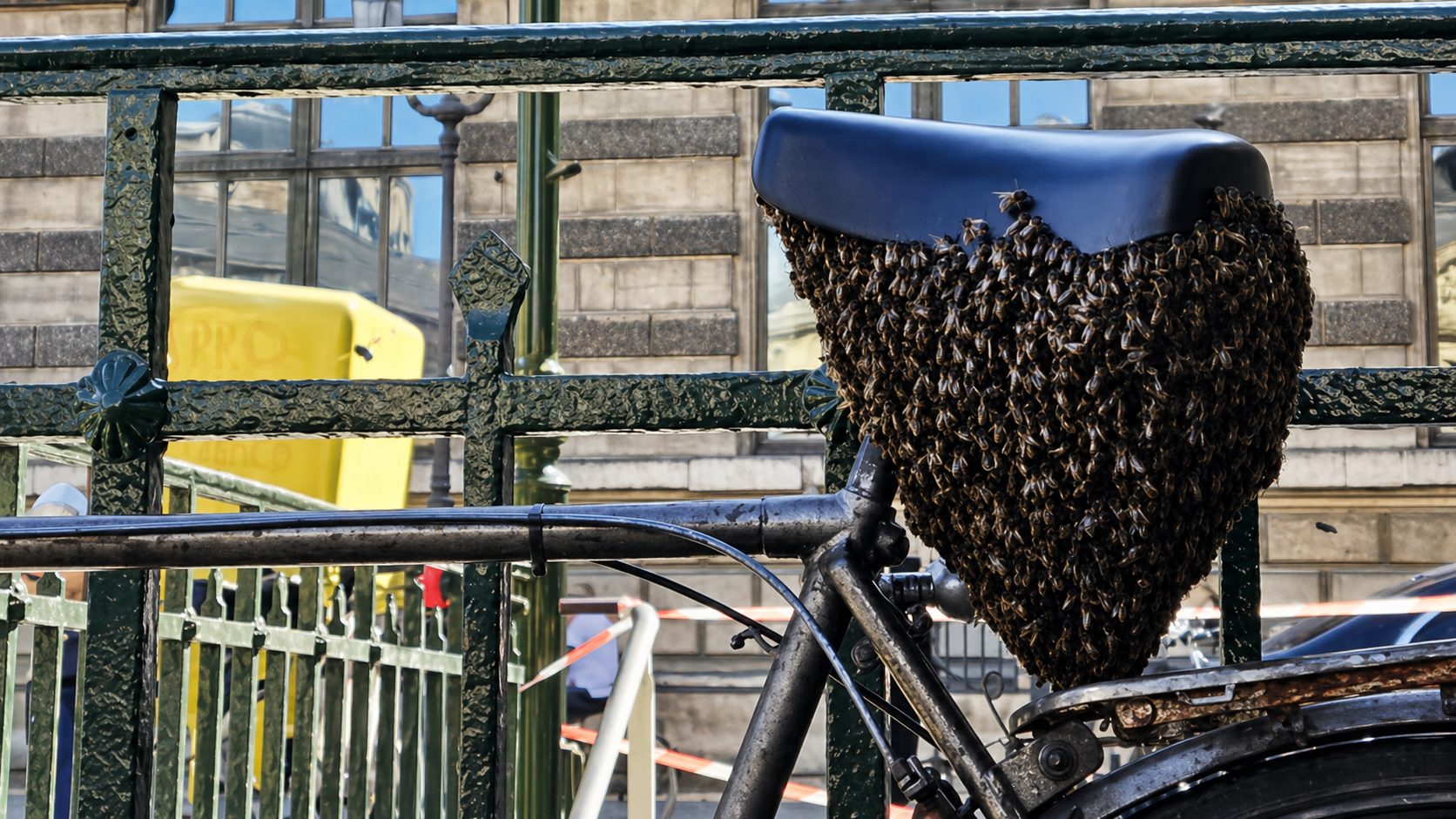Un essaim d’abeilles se fixe sur un vélo accroché aux grilles